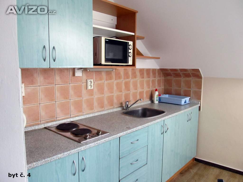 Pronájem, byt 1+1, 45 m², Ostrava - Mariánské Hory, ul. Přemyslovců