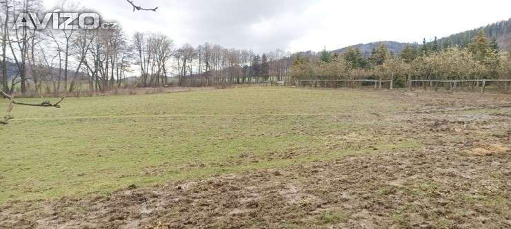 Oplocený pozemek cca 11.000m2 pro koně, nebo domácí zvířata, maringotka, přístřešek...