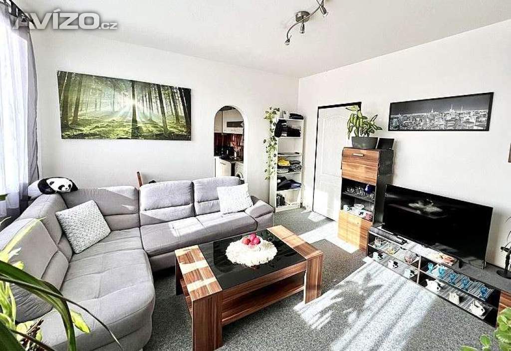 2+1 O.- Dubina, Jiříkovského, lodžie, 13.000 Kč i s energiemi.  Volný 30. června.