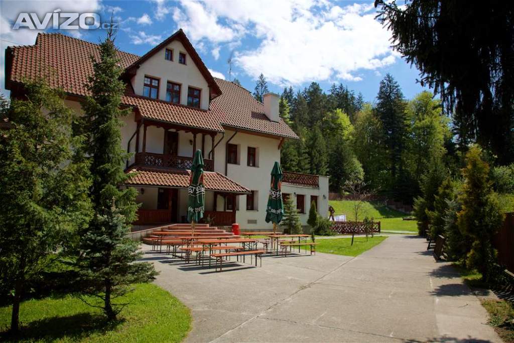 Servírka/číšník