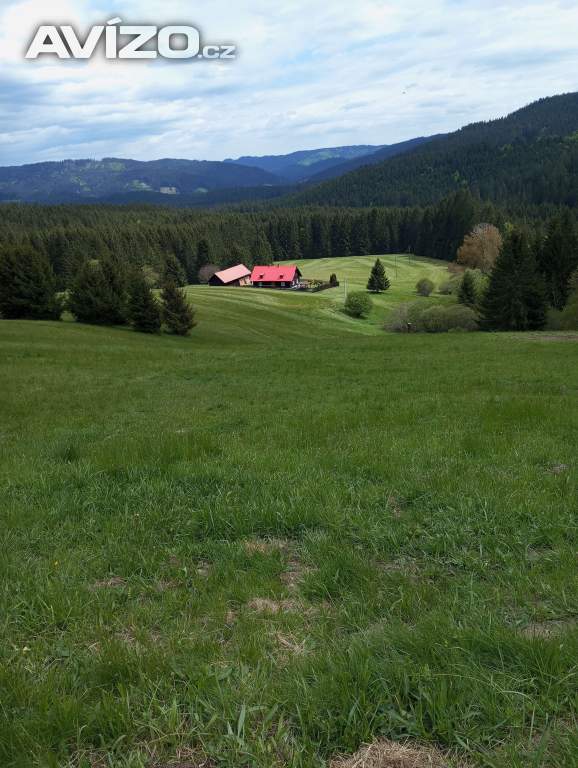 Možná že nám to vyjde