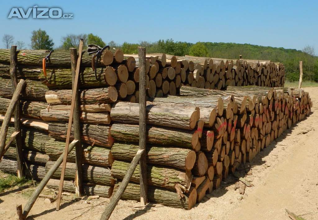 Palivové dřevo tvrdé dodání do 48 hod nejlepší ceny !!!
