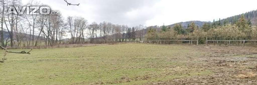 Pronájem pozemku 10.000m2 pro koně, nebo domácí zvířata... 