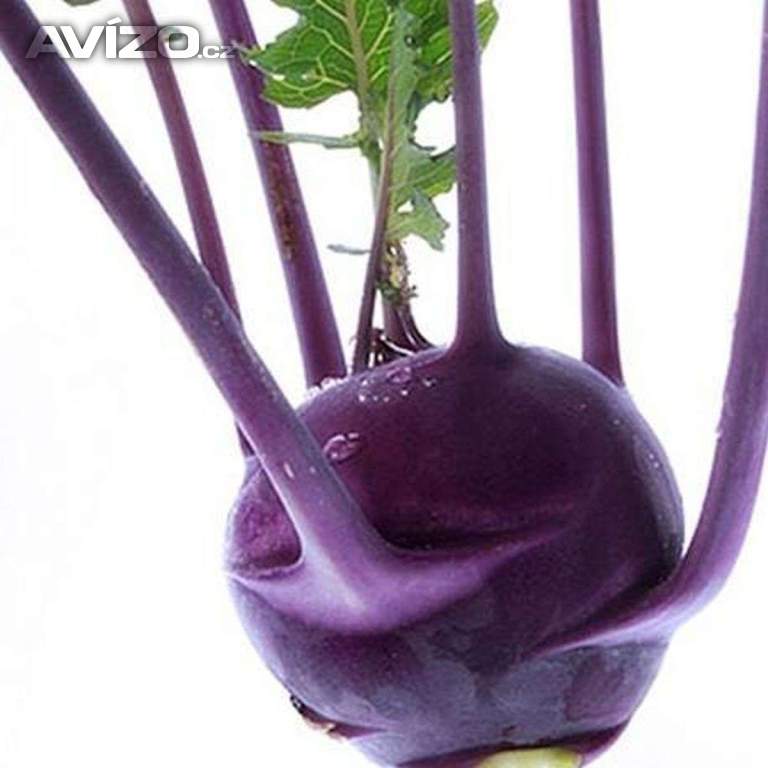 Kedluben Violeta - semena
