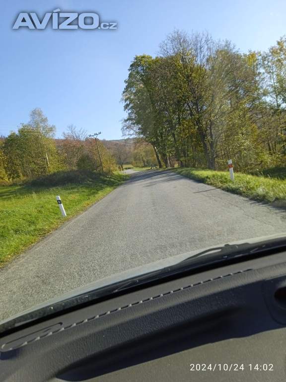 Kamarádka - přítelkyně: