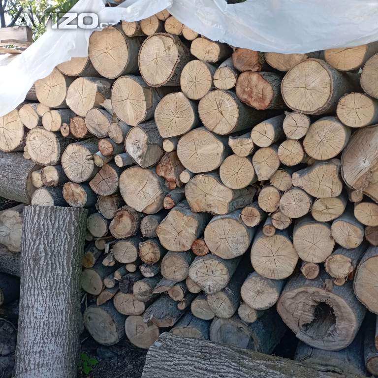 Palivové dřevo
