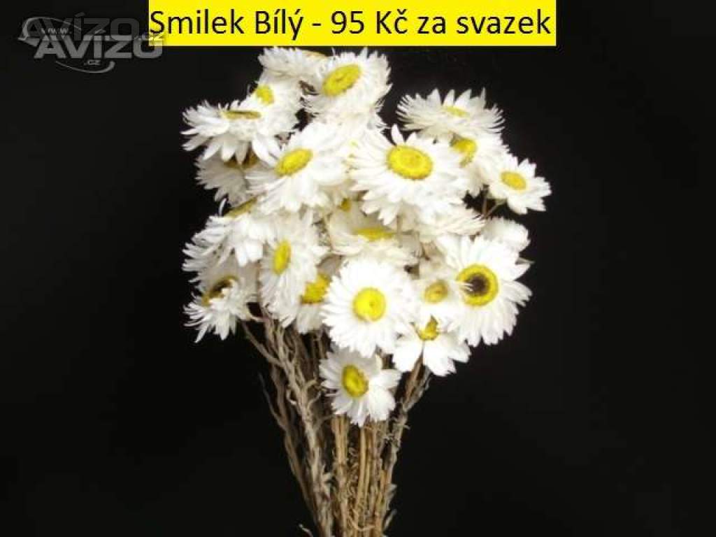 Sušené květiny - Statice, Slaměnky,…