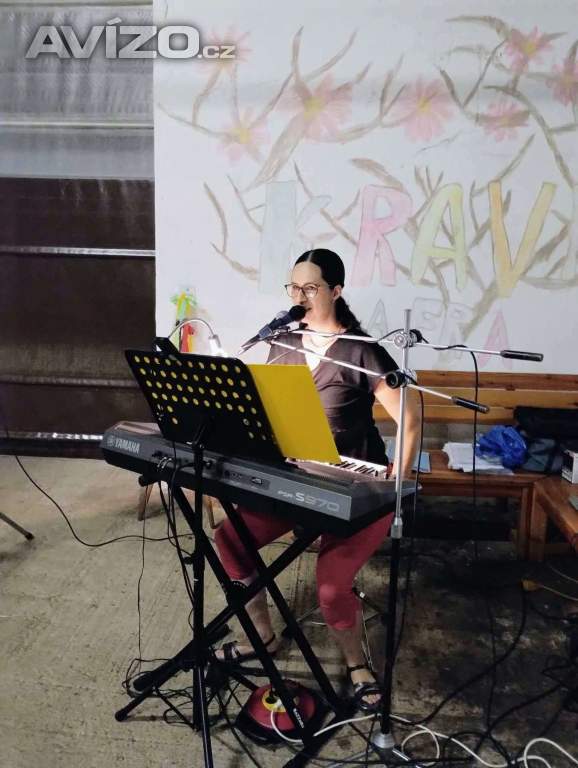 Živá hudba/DJ na oslavy, večírky, svatby