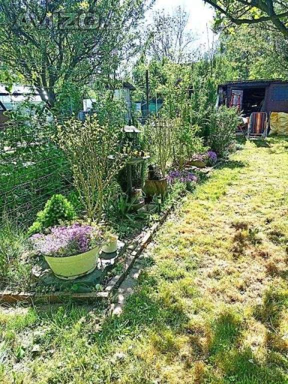 Prodej zahrady se zahradní chatkou Studénka, přenechání nájmu, 150.000 Kč. 