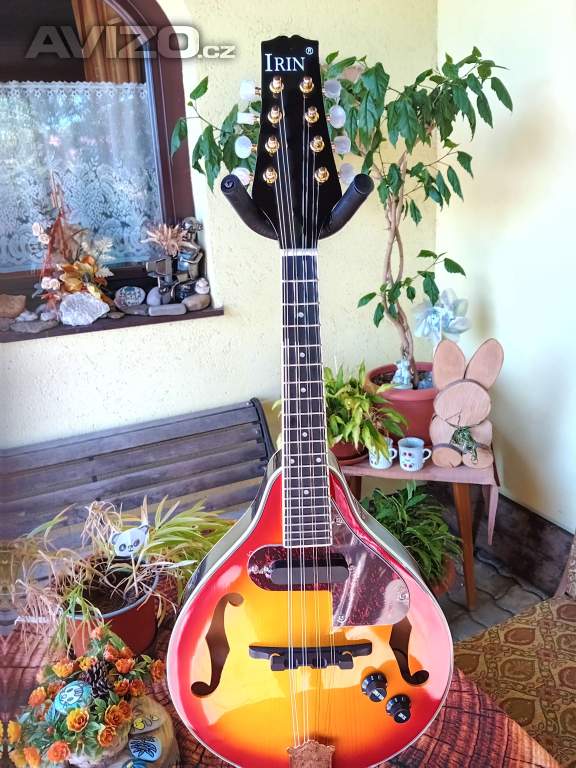 Elektroakustická mandolína 