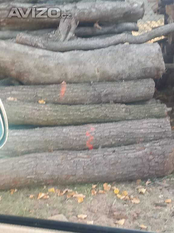 Prodám palivové dřevo 