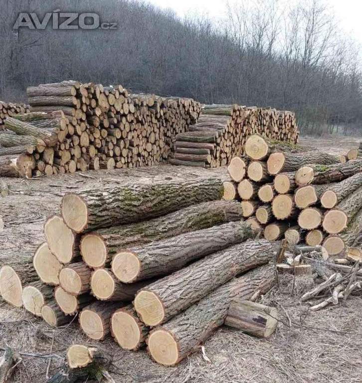 Palivové dřevo tvrdé 