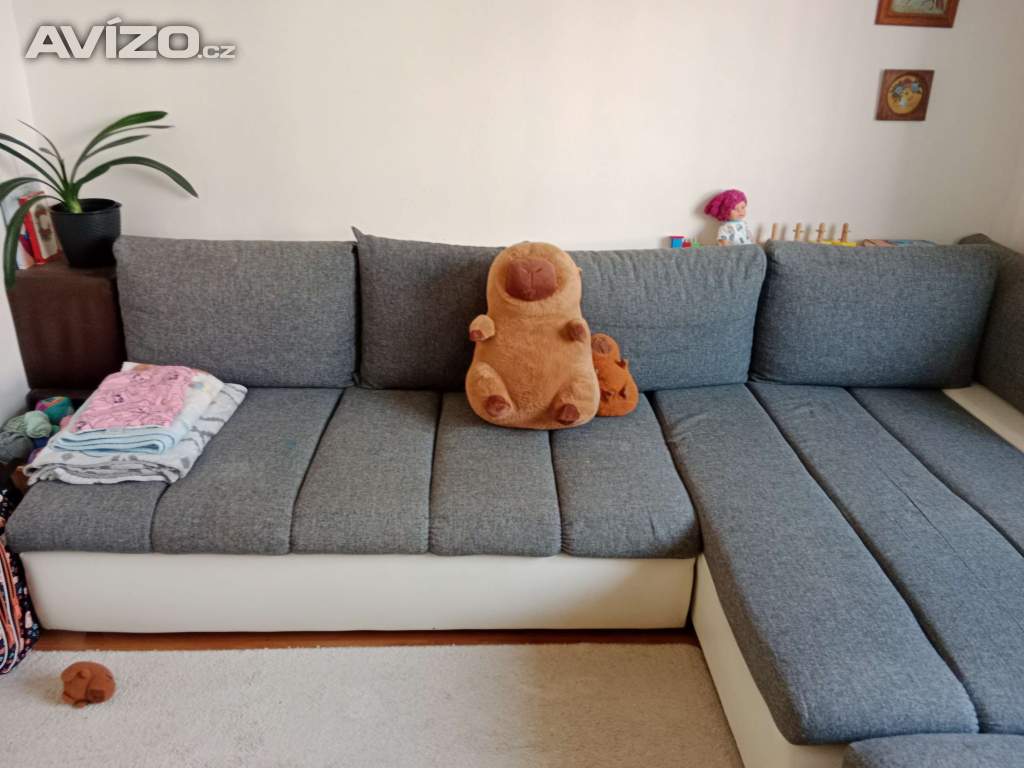 Prodám 