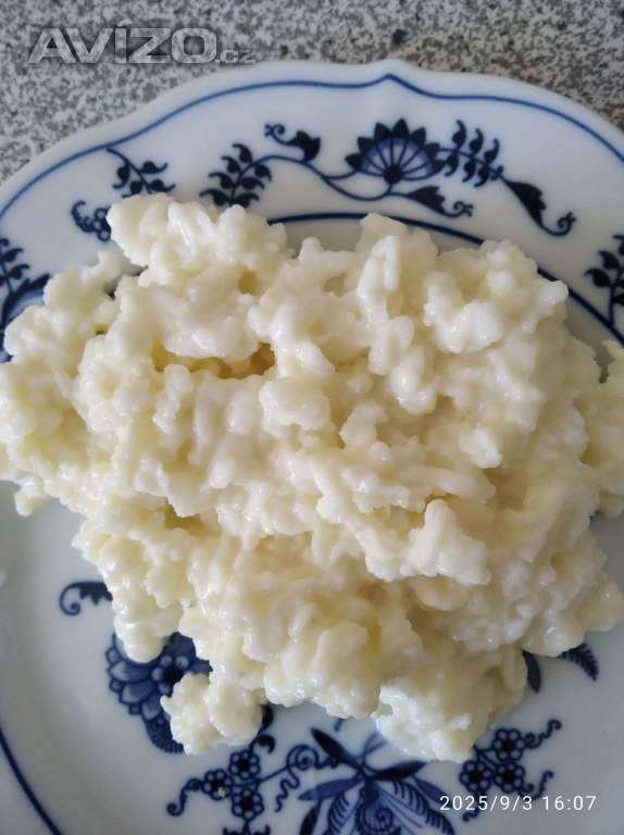 Kefírová zrna kavkazská