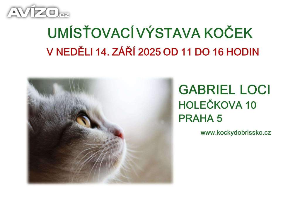 UMÍSŤOVACÍ VÝSTAVA KOČEK V KLÁŠTEŘE SV. GABRIELA