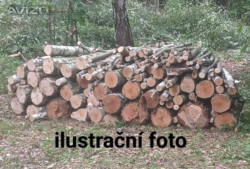 Prodám palivové dřevo 