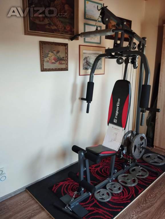 prodám posilovací věž inSPORTline ProfiGym N 10