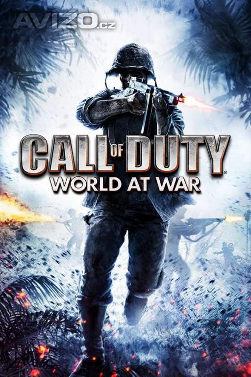 Koupím PC Call of Duty - Všechny díly.