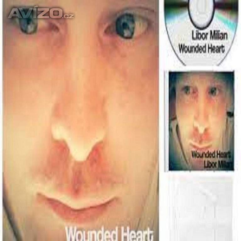 Digitálny CD Singels Libor Milian-Wounded Heart 