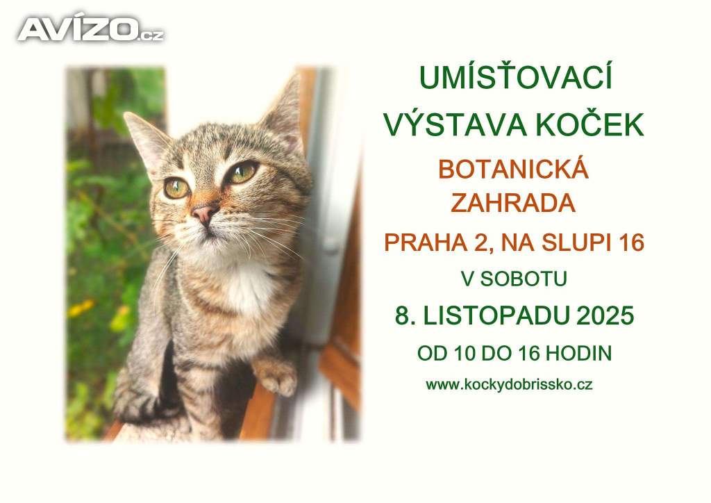 UMÍSŤOVACÍ VÝSTAVA KOČEK V BOTANICKÉ ZAHRADĚ V PRAZE 2
