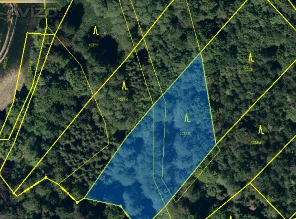 Foto inzerátu Kyjovice Les