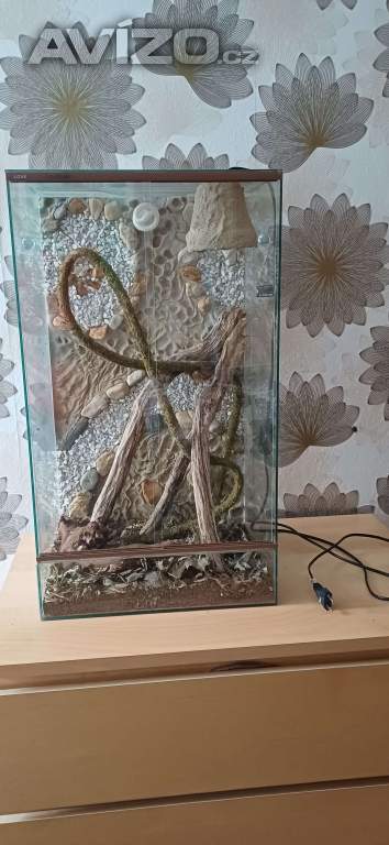 Terárium pro chameleona