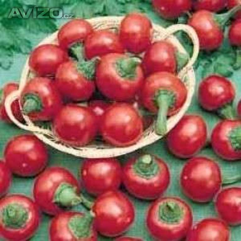 Chilli Ciliegia Picante Satans Kiss - semena