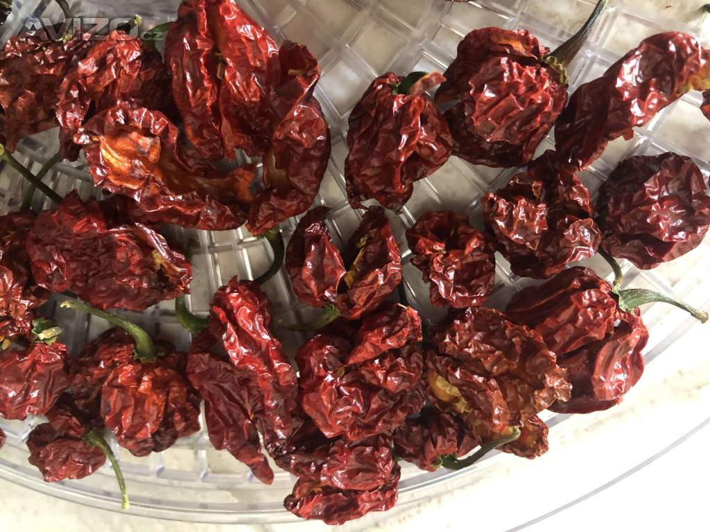 Chilli papričky sušené, vaukově balené