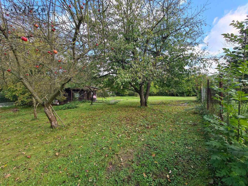 Foto inzerátu Prodám zahradu v Prostřední Suché