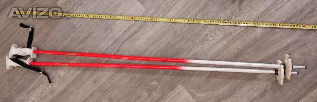 Foto inzerátu Prodám lyže, boty, hůlky