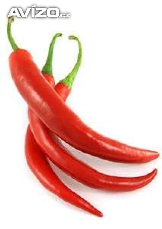 Chilli Cayenne pepper - semena