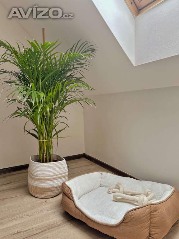 Foto inzerátu Azyl pro milence