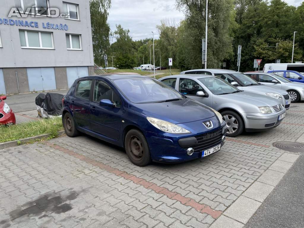 Peugeot 307 1,6 benzin plyn