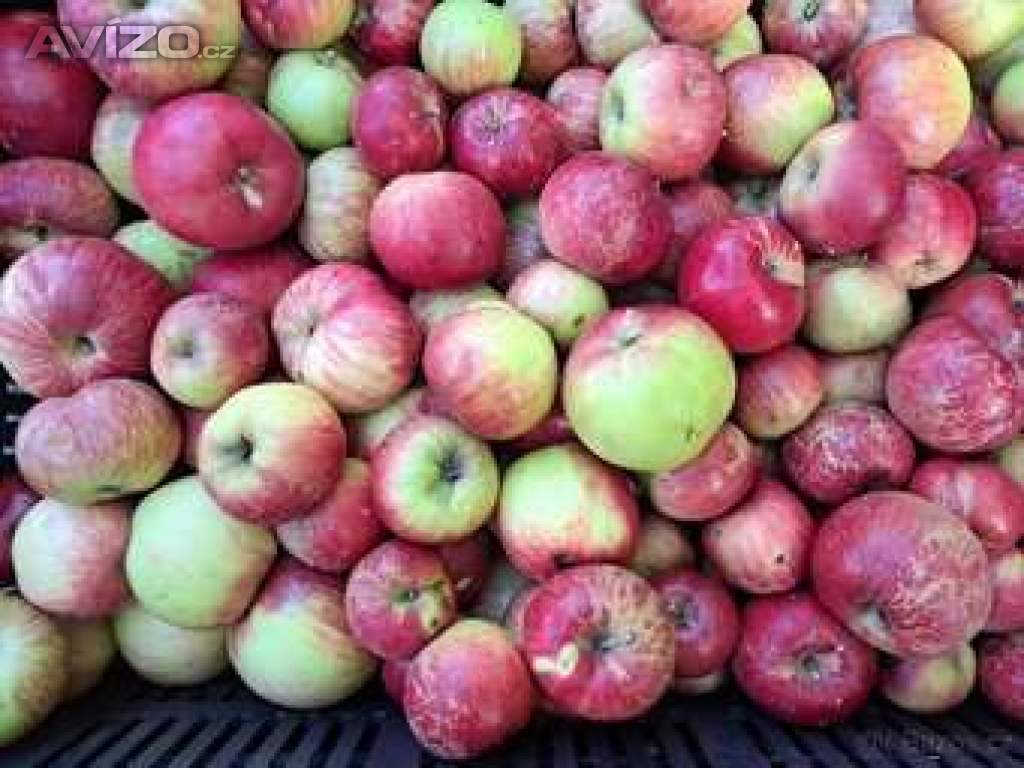 Foto inzerátu Nabídka jablek, ořechů-Chrudimsko