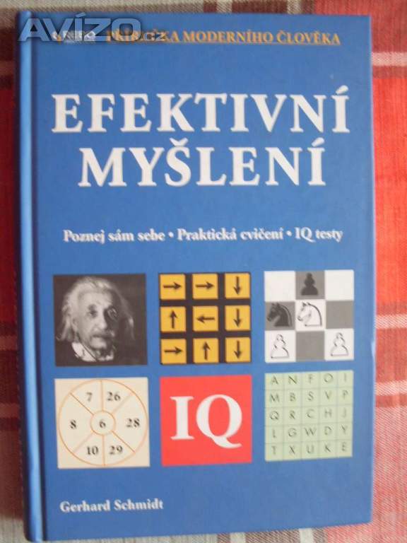 Gerhard Schmidt Efektivní myšlení
