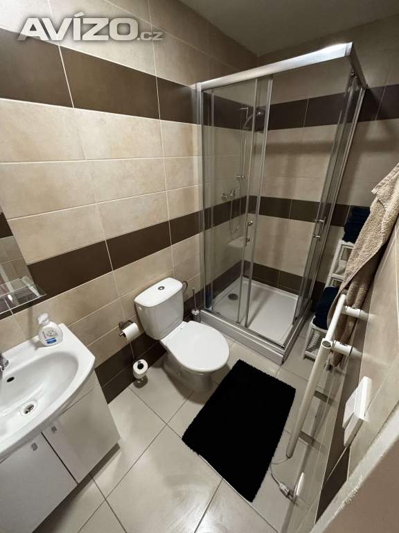 Foto inzerátu Denní nájem, žádné dělení, soukromí