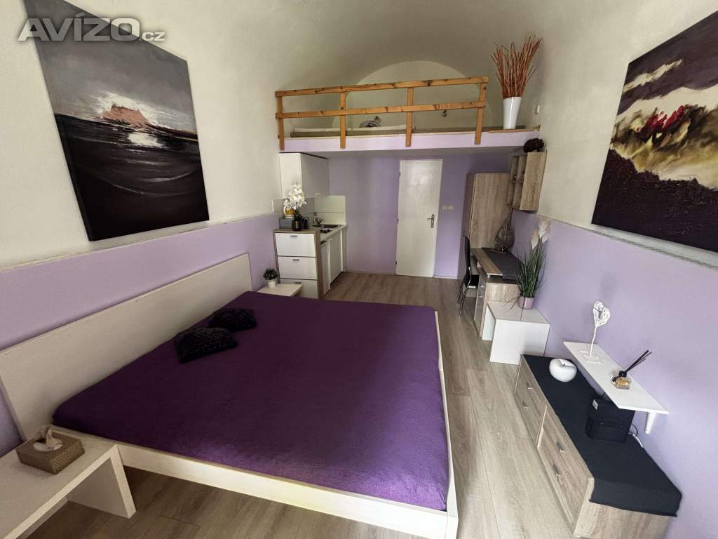 Foto inzerátu Denní nájem, žádné dělení, soukromí