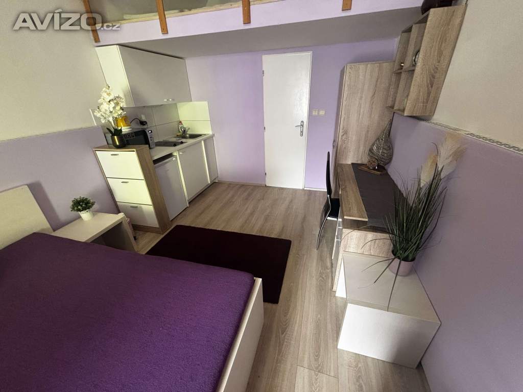 Foto inzerátu Denní nájem, žádné dělení, soukromí