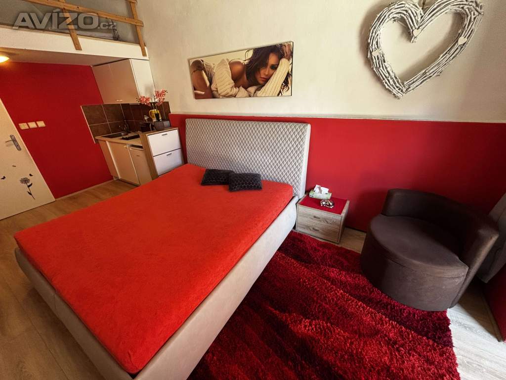 Foto inzerátu Denní nájem, žádné dělení, soukromí