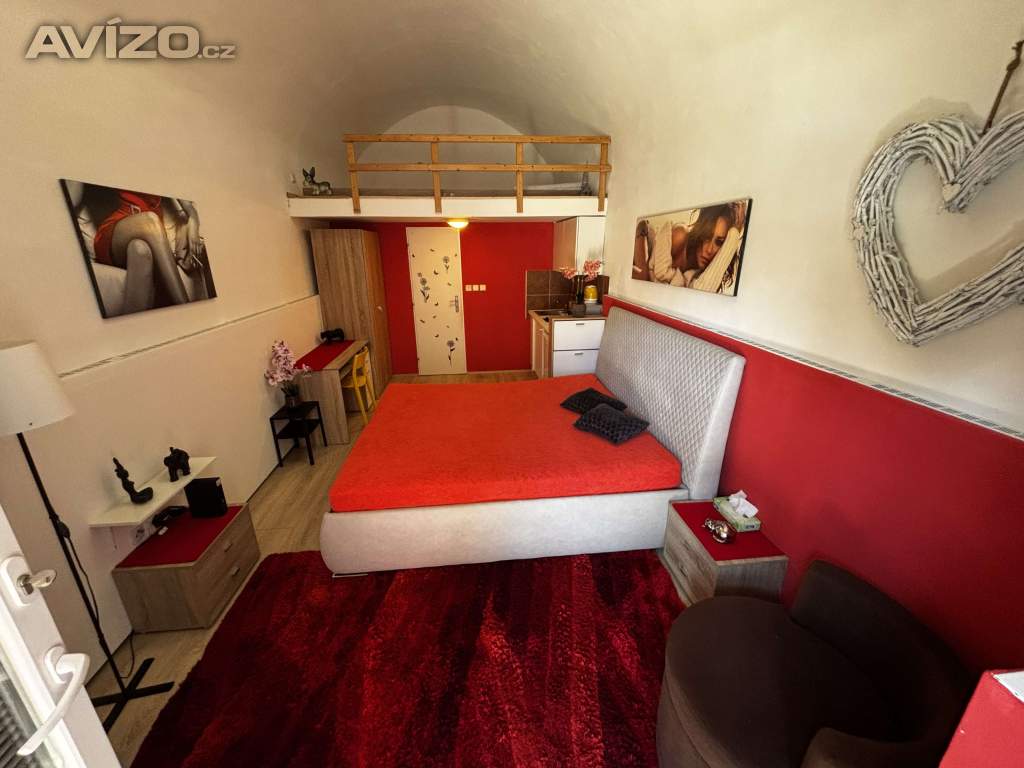 Foto inzerátu Denní nájem, žádné dělení, soukromí