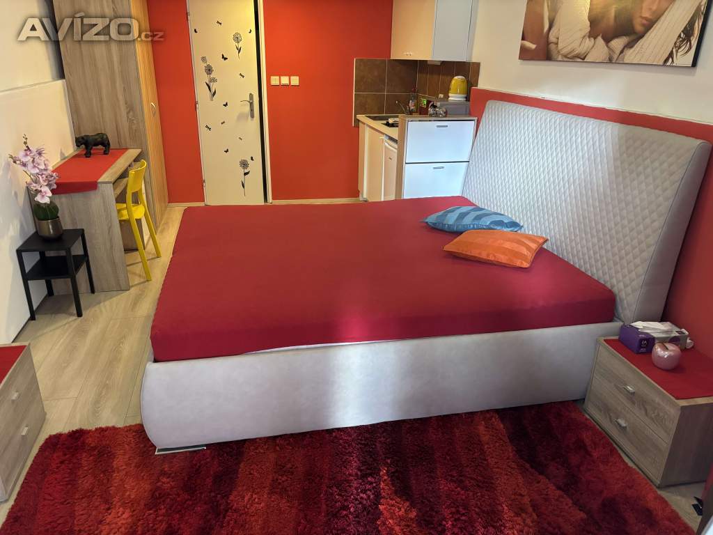 Foto inzerátu Denní nájem, žádné dělení, soukromí