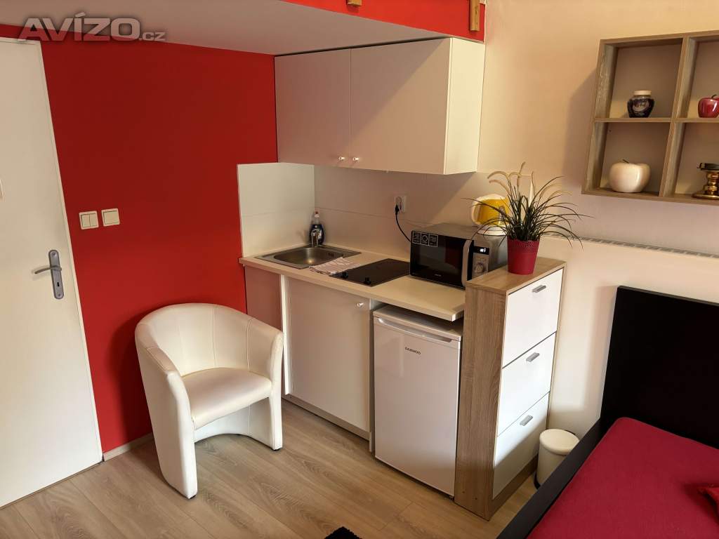 Foto inzerátu Denní nájem, žádné dělení, soukromí