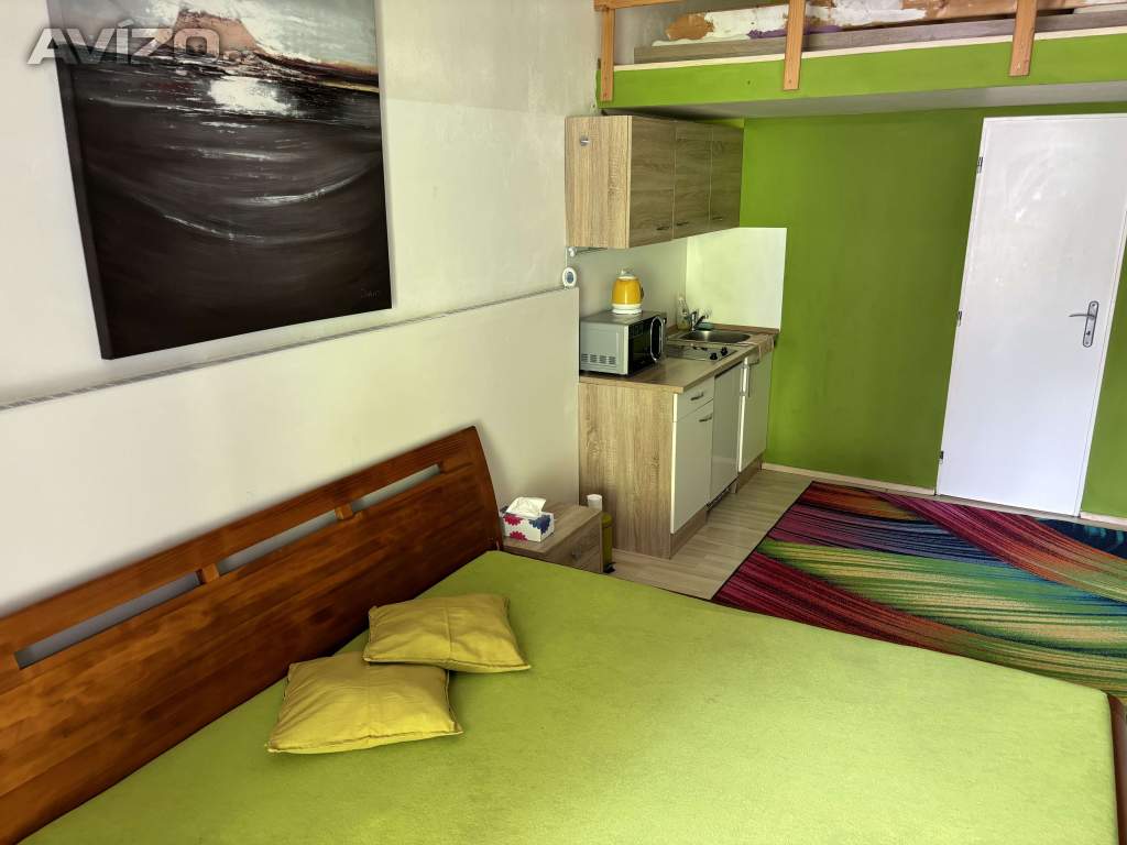 Foto inzerátu Denní nájem, žádné dělení, soukromí