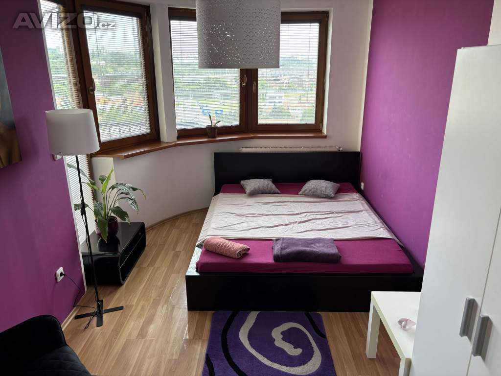 Foto inzerátu Denní nájem, žádné dělení, luxus