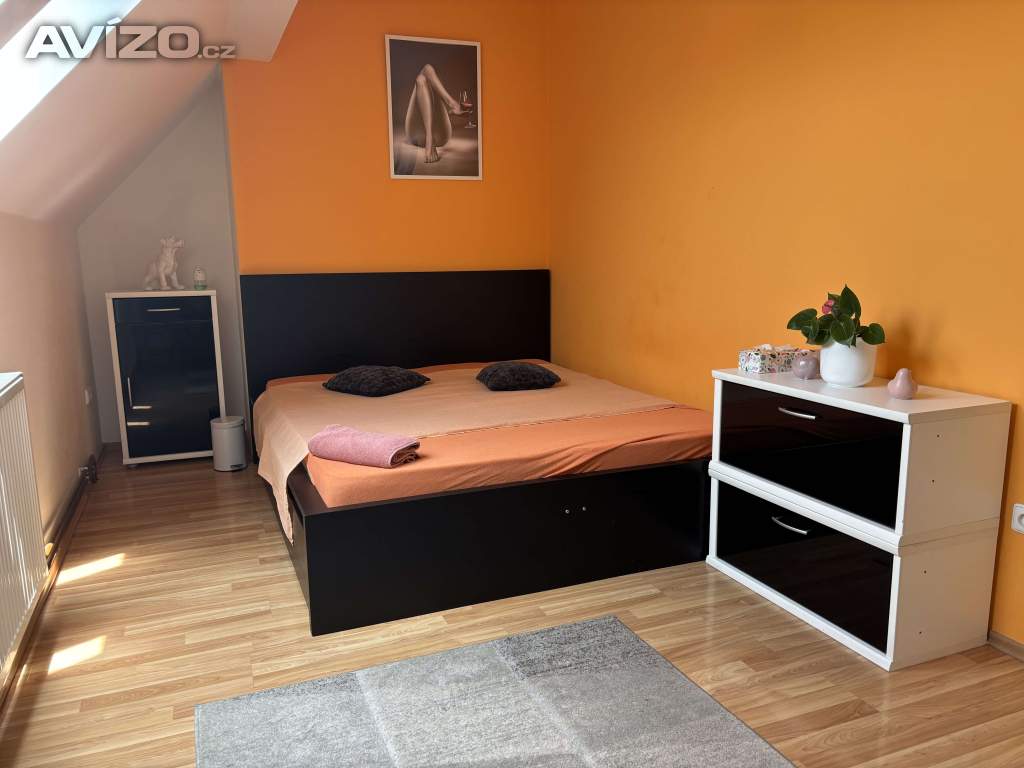 Foto inzerátu Denní nájem, žádné dělení, luxus