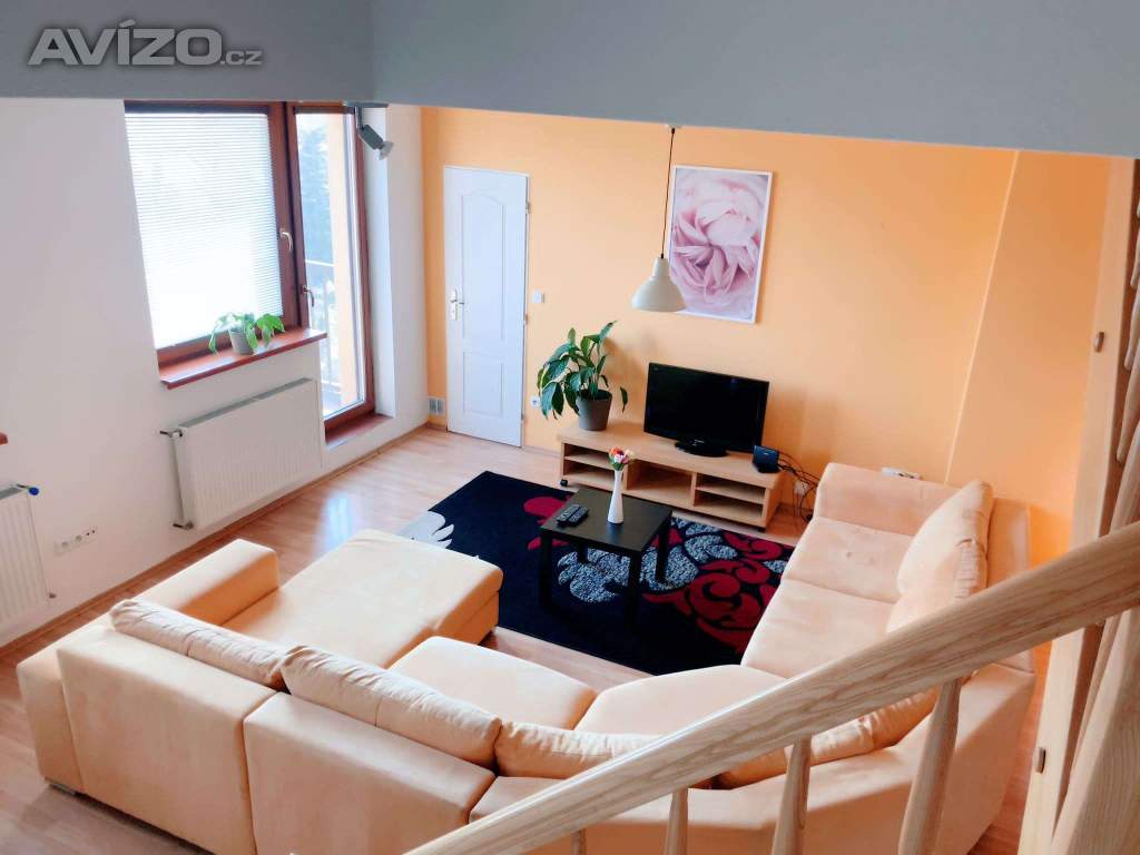 Foto inzerátu Denní nájem, žádné dělení, luxus