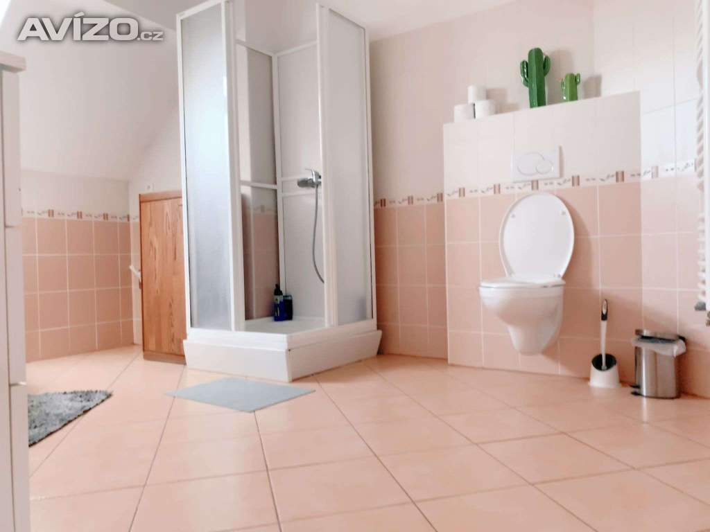 Foto inzerátu Denní nájem, žádné dělení, luxus