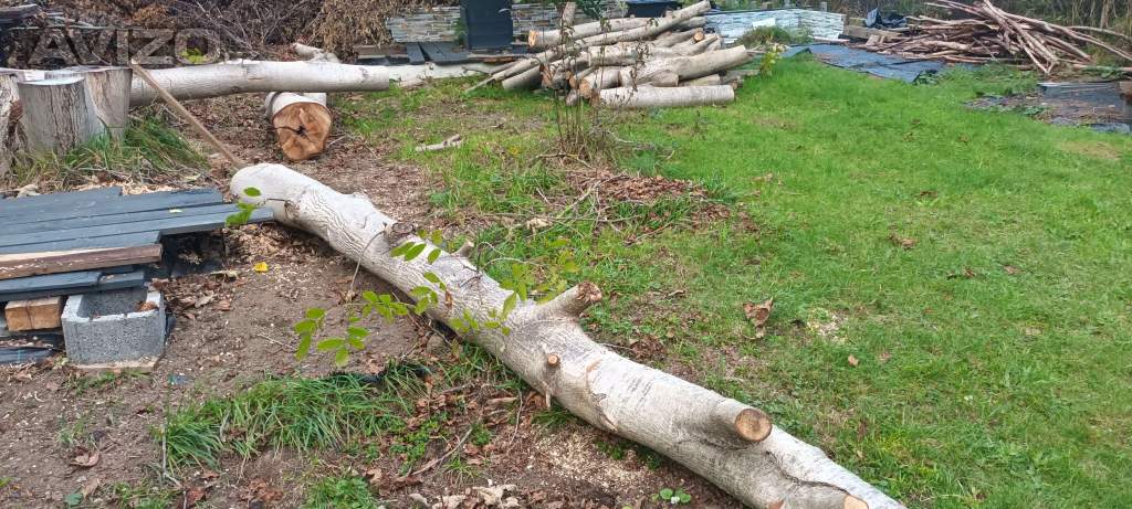 Prodej dřeva- ořech 