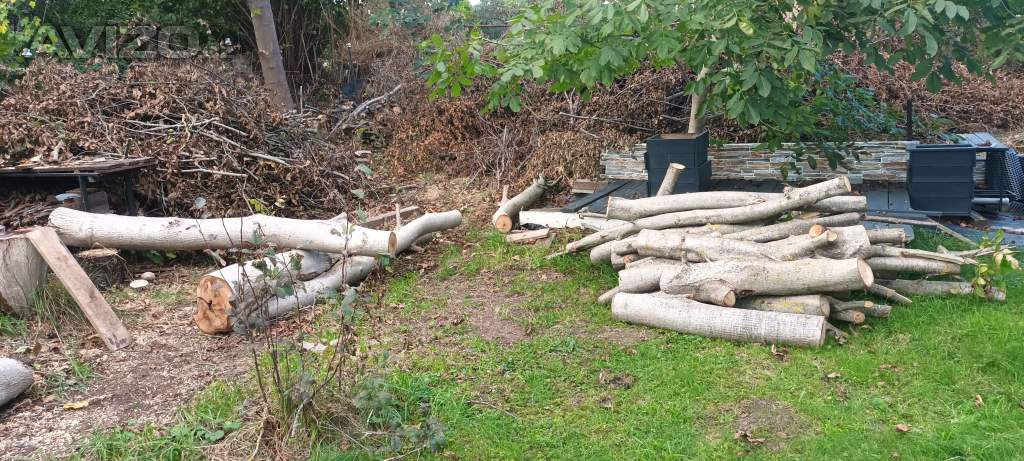 Foto inzerátu Prodej dřeva- ořech 