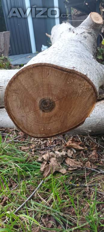 Foto inzerátu Prodej dřeva- ořech 
